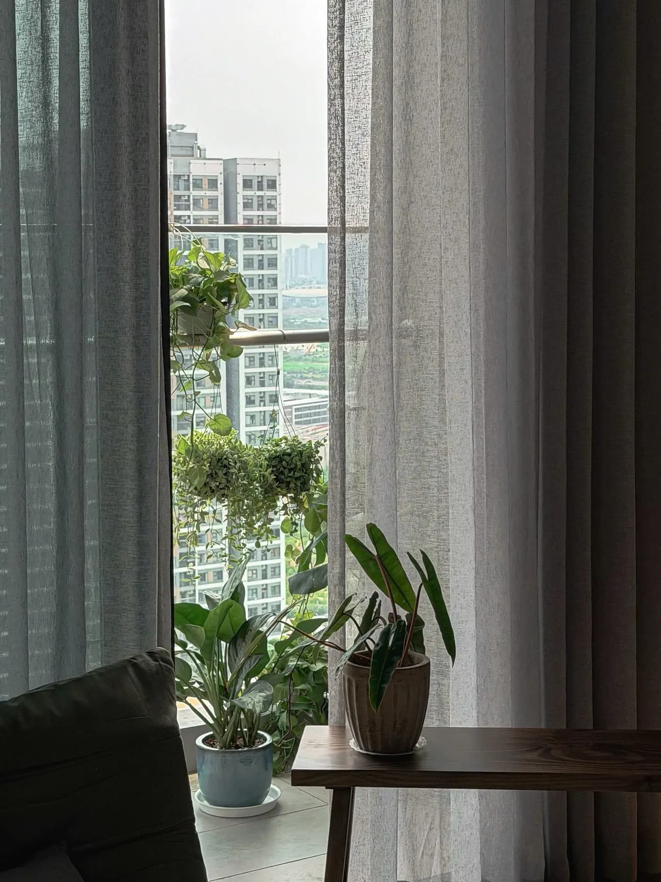 Góc phòng khách với cây xanh và ánh sáng tự nhiên.